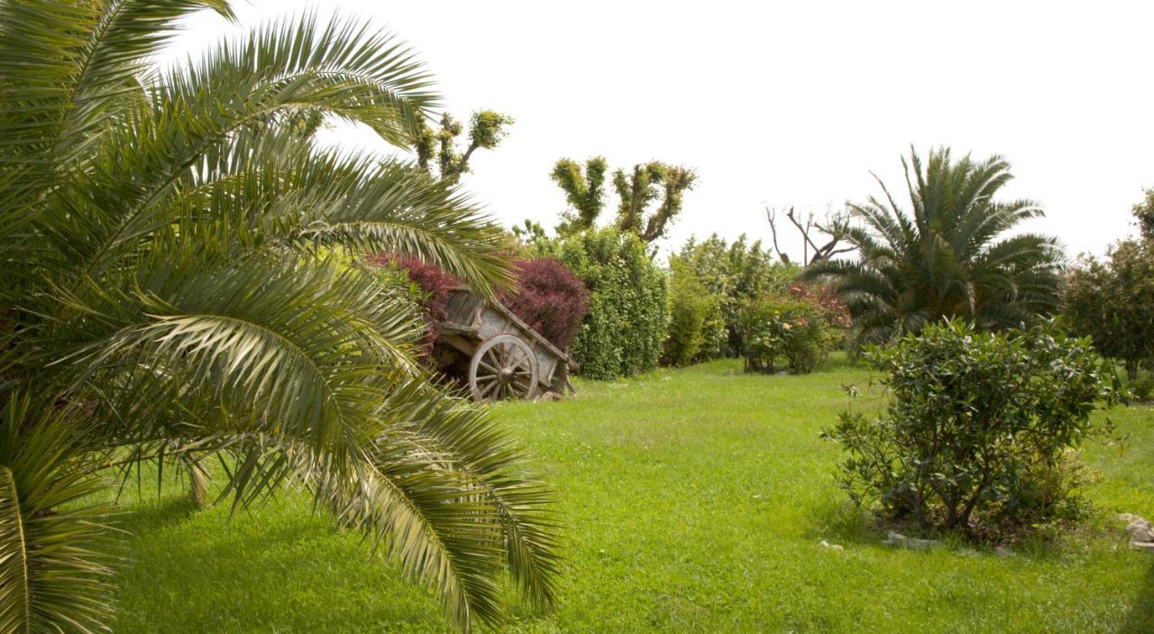 Il Girasole Country House Camerano Exteriér fotografie