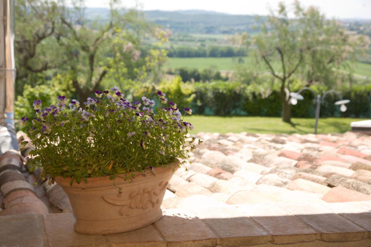 Il Girasole Country House Camerano Exteriér fotografie